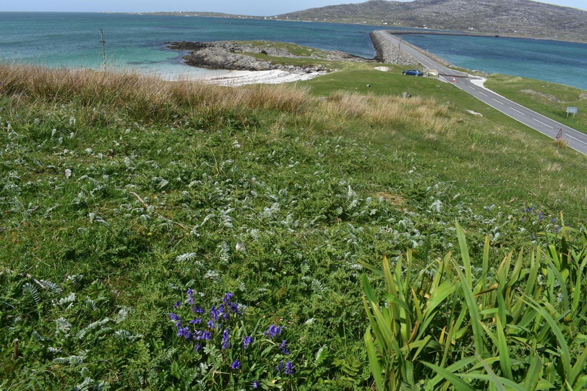 Glamping Pod For 2 Pod Beag Na Haun Eriskay Villa Exterior photo